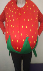 Strawberry Kids costume